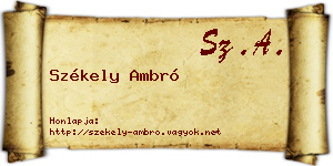 Székely Ambró névjegykártya